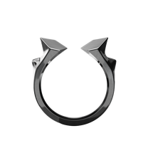 TAURUS
